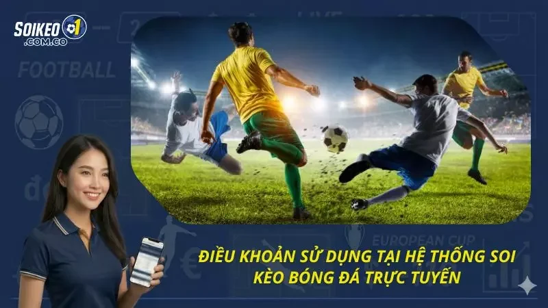 Điều Khoản Sử Dụng Tại Hệ Thống Soi Kèo Bóng Đá Trực Tuyến
