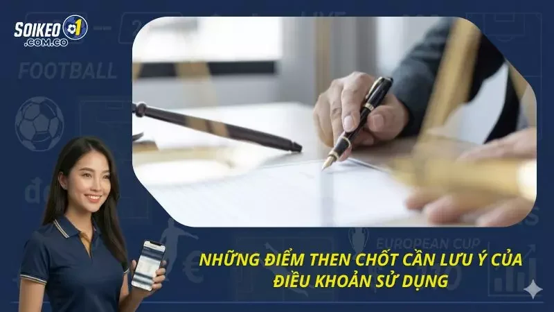 Một số lưu ý cơ bản tránh mắc phải trong điều khoản