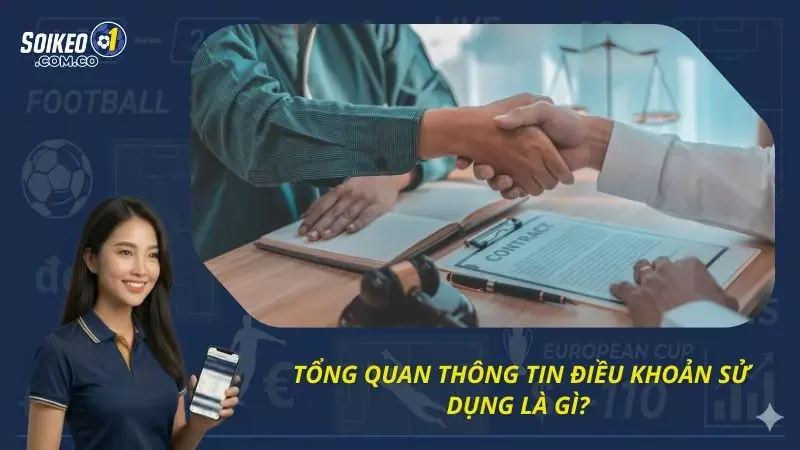 Cái nhìn tổng quan nhất về các điều khoản của nền tảng